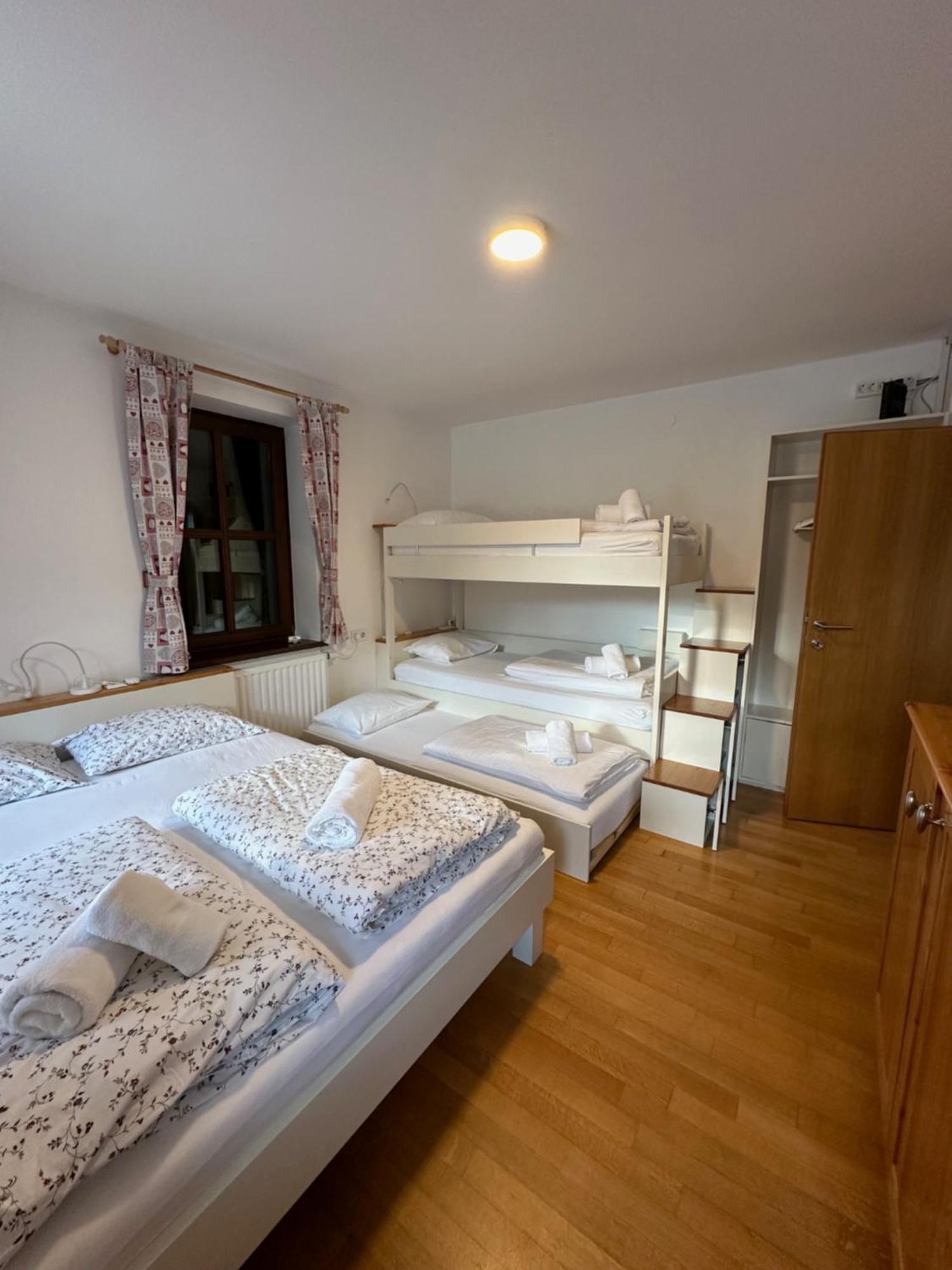 Pritlicni Apartma Hribovc Z Atrijem クランスカゴーラ エクステリア 写真
